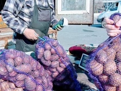 Саратовские цены: картофель и свекла дорожают, капуста дешевеет