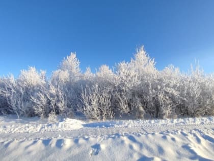 В Саратовской области похолодает до минус 25 градусов в январе