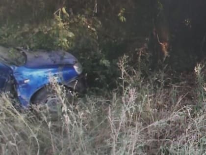 Водитель "Калины" врезался в дерево под Перелюбом и погиб