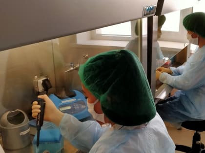 О результатах исследований на фитопатогены Саратовской испытательной лаборатории