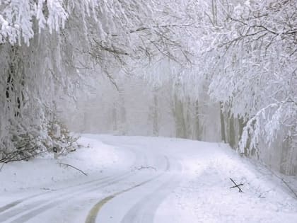 В Саратовской области сохранятся морозы ниже 30 градусов