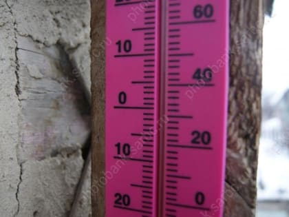 В Вольске из-за морозов останутся дома все школьники