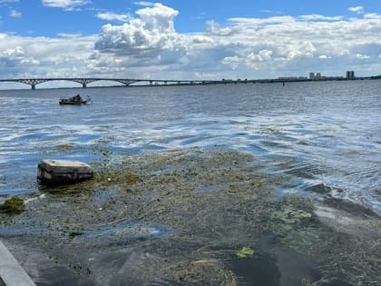 В Саратове начали чистить Волгу в районе набережной
