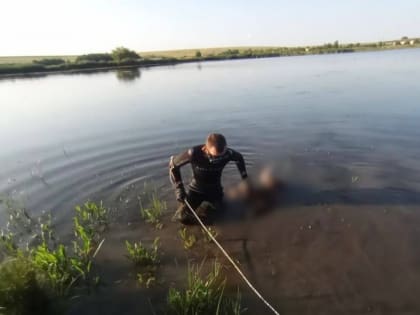 Пятый за день. Саратовец пошел ставить сети и пропал