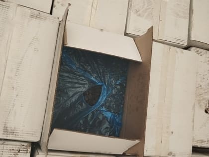 Запрет на ввоз продукции в Озинках