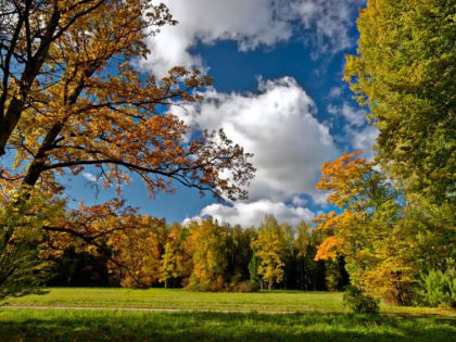 Оперативный прогноз погоды 24 сентября 2023 года