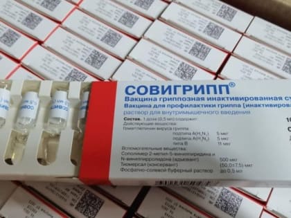 За счет федерального бюджета получено свыше 400 тыс доз вакцины от гриппа