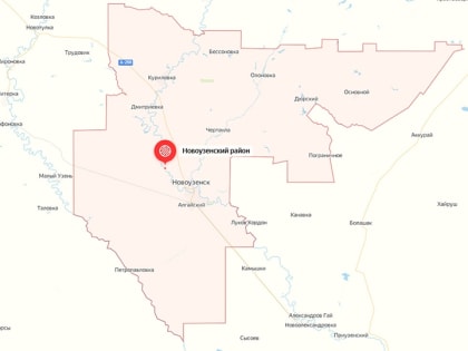 Пропавшего под Новоузенском 7-летнего мальчика "ищут всем районом"