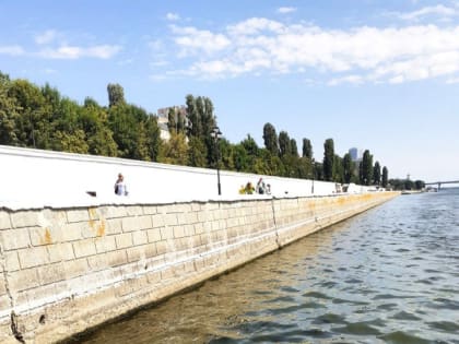 "Уже появился запах сероводорода". Саратовцы просят очистить Волгу вдоль набережной