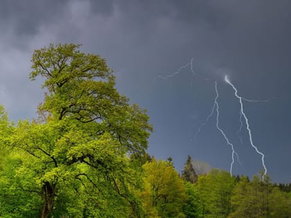 В Саратове прогнозируются кратковременные дожди и грозы
