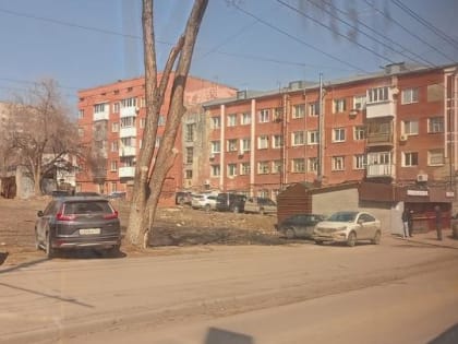 На выходных в Саратовской области потеплеет до +22 градусов