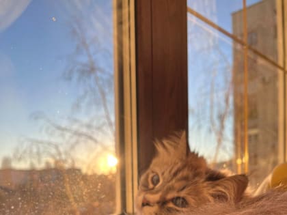 Первый день весны в Саратове будет пасмурным