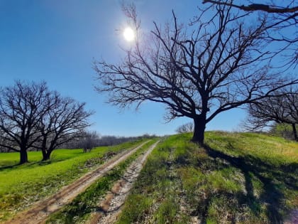 Саратовцев ждет теплый день