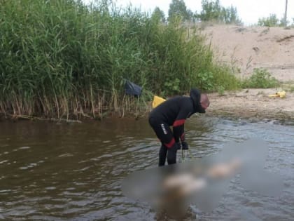 На Зеленом острове в Волге нашли утопленника