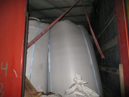 В Киргизию из Саратовской области не выпустили 20 тонн сомнительных семечек