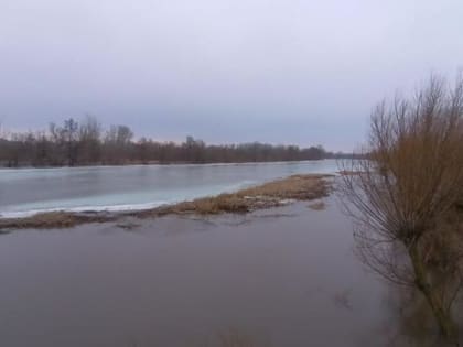 Саратовцев ждет пасмурное и ветреное воскресенье