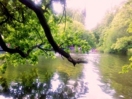 В горпарке Саратова приостановлен прокат лодок из-за энтеровируса