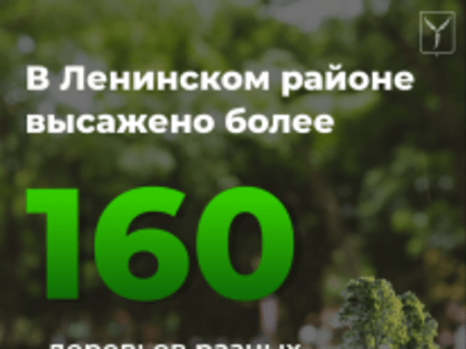 В Ленинском районе завершаются работы по озеленению