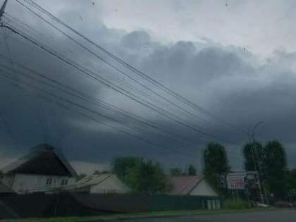 В Саратове сильный ветер