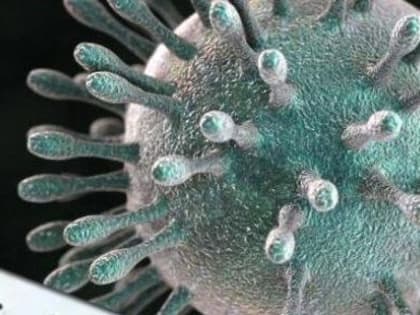 Заболеваемость коронавирусом за неделю в Балаково выросла на 52%