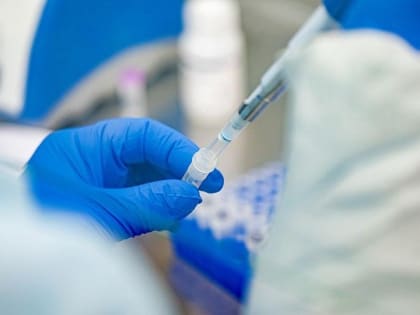За сутки ковид выявили у 117 саратовцев