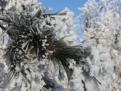 Субботнее чтиво. Итоги уходящей недели