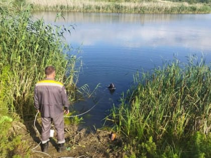 Водолазы вытащили утопленника из балашовского пруда
