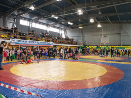 Турнир по греко-римской борьбе в Марксе