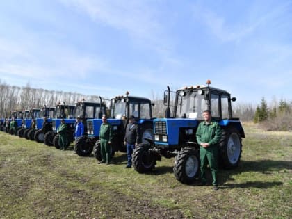 В Саратовской области почти в 5 раз увечили финансирование лесовосстановительных работ