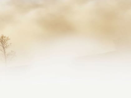 В Саратовской области неделя начнется с тумана