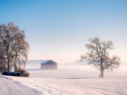В Саратовской области ожидается облачность и ветер до 14 м/с