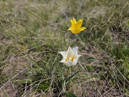 В Саратове облачно, но сухо