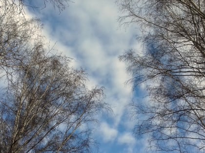 В последний субботний выходной января погода ожидается без осадков с небольшим ветром