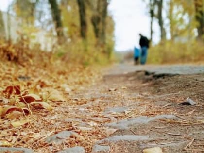 В Саратове тепло, но возможен дождь