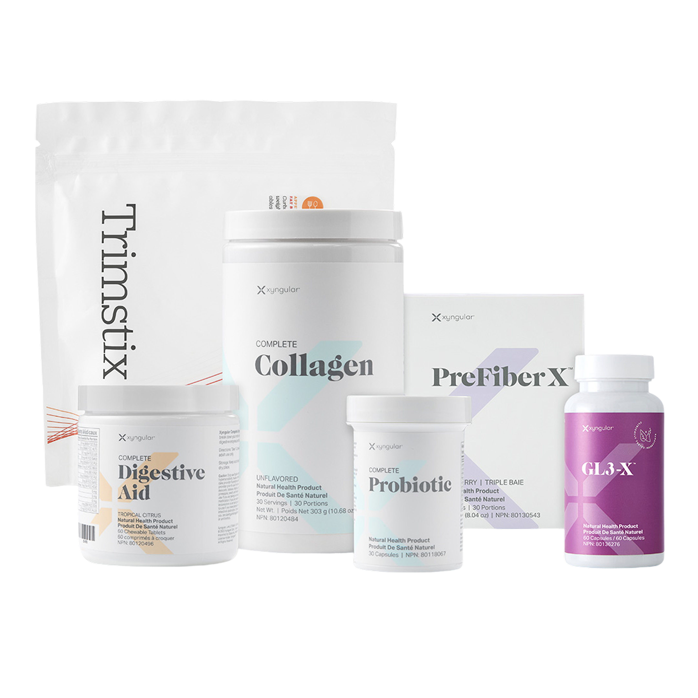 Gut Collective