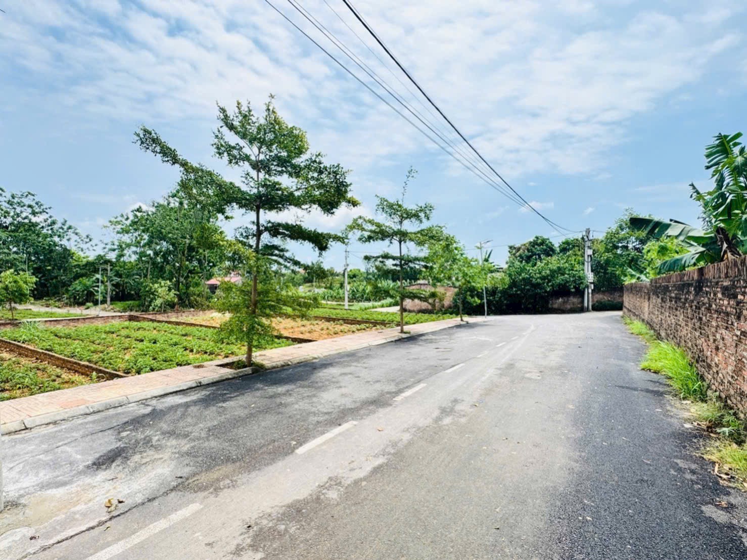 ✅ Thôn Tiên Chu Xã Trung Giã HN  👉🏻 Diện tích: 101,9m2? 👉MT=6.36m, H: 6.38m full thổ cư có vỉa hè ảnh 3