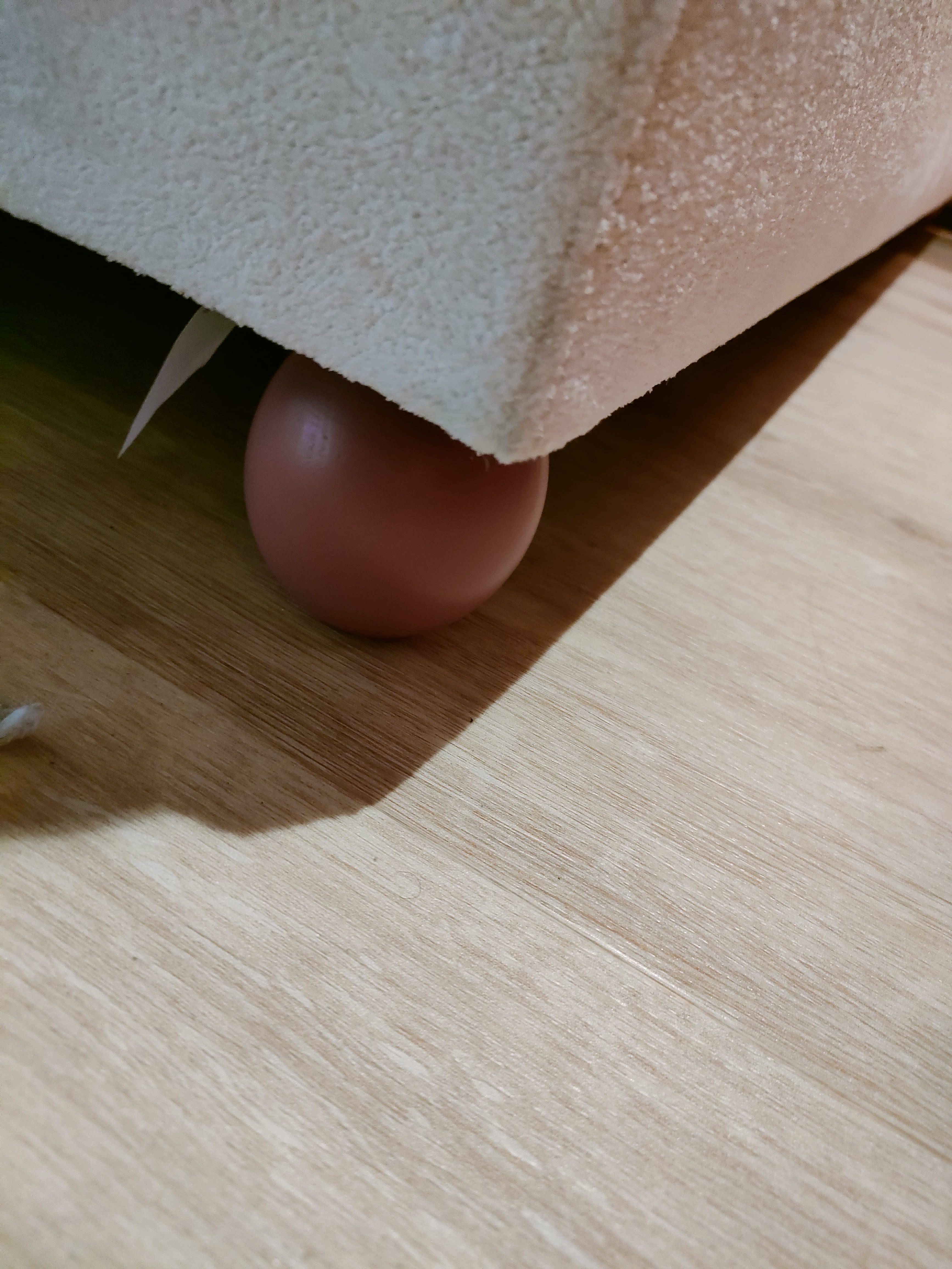 Chambre 3 — photo 6