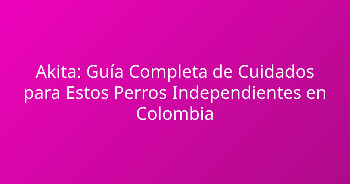 Akita: Guía Completa de Cuidados para Estos Perros Independientes en Colombia
