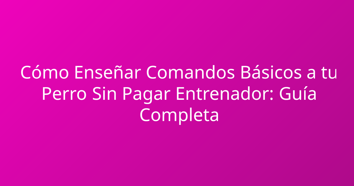Cómo Enseñar Comandos Básicos a tu Perro Sin Pagar Entrenador: Guía Completa