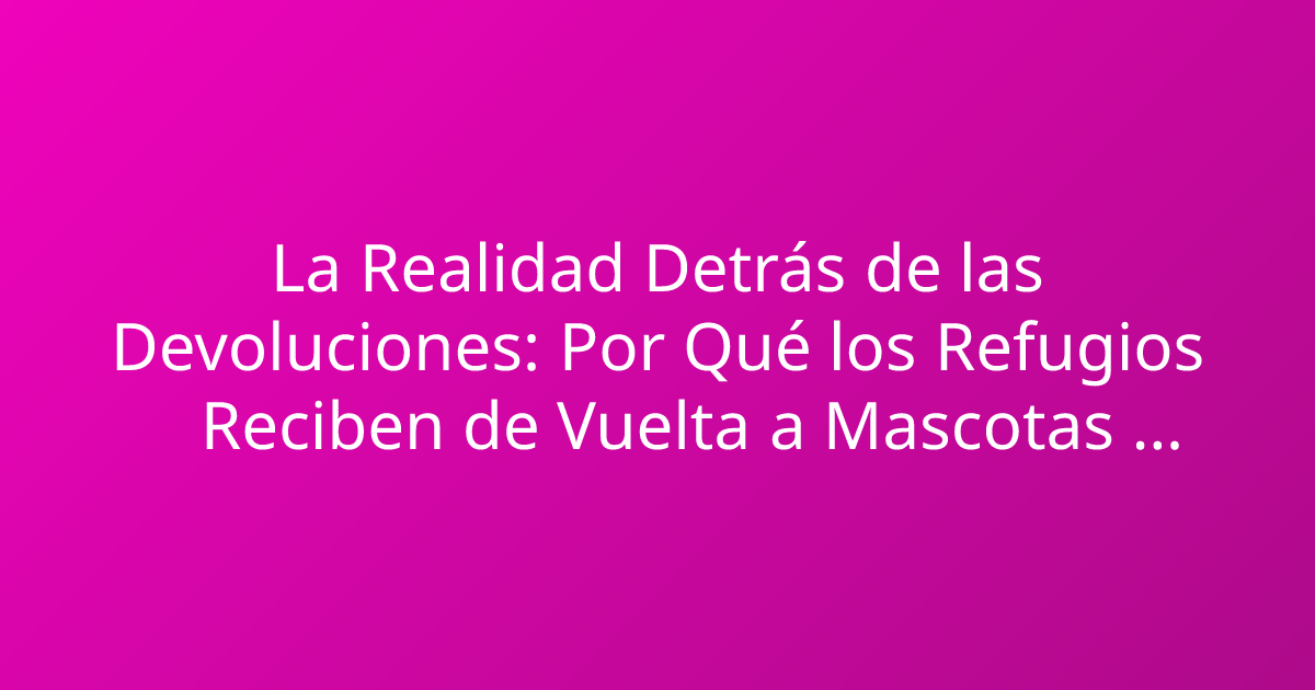 La Realidad Detrás de las Devoluciones: Por Qué los Refugios Reciben de Vuelta a Mascotas Adoptadas