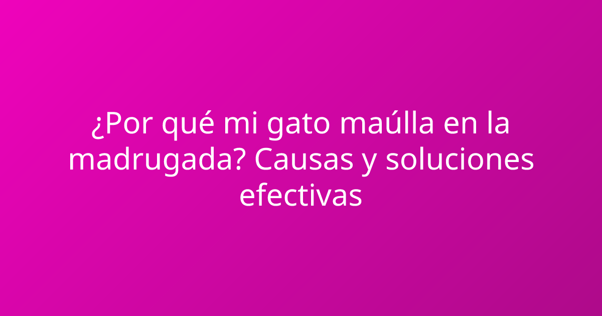 ¿Por qué mi gato maúlla en la madrugada? Causas y soluciones efectivas