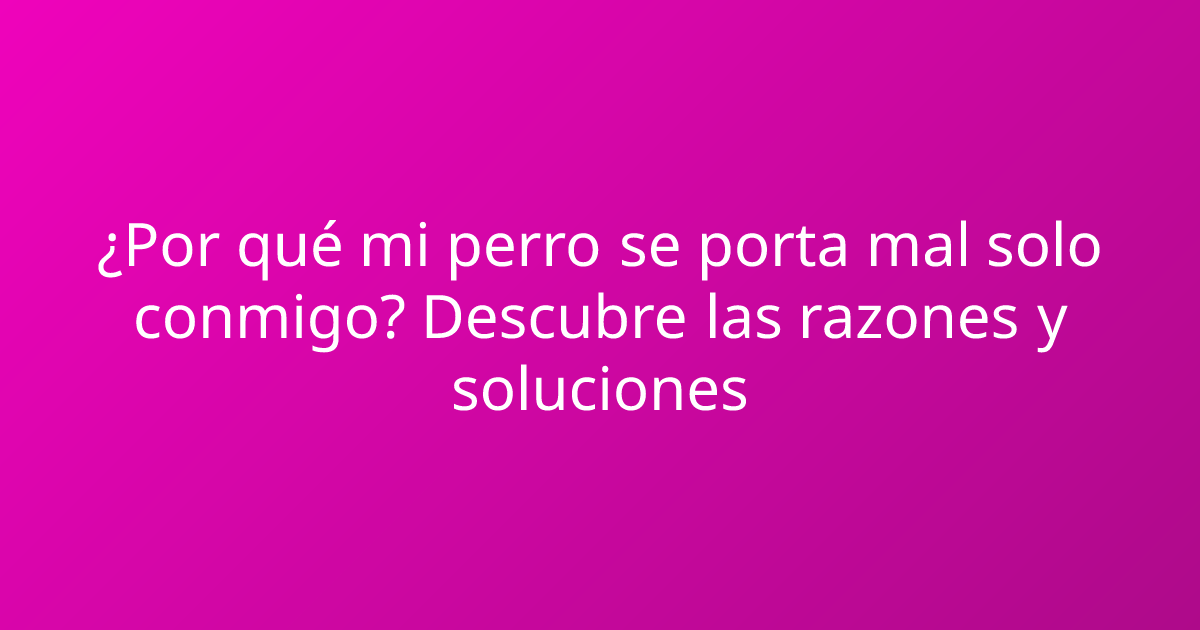 ¿Por qué mi perro se porta mal solo conmigo? Descubre las razones y soluciones
