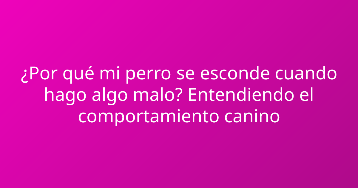 ¿Por qué mi perro se esconde cuando hago algo malo? Entendiendo el comportamiento canino