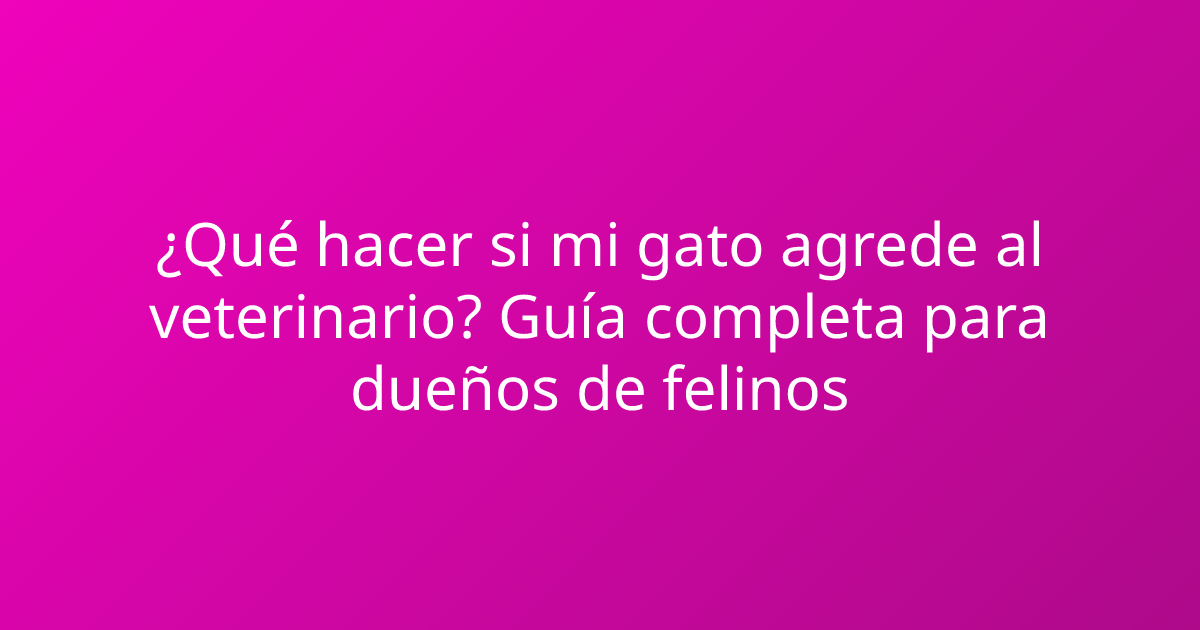 ¿Qué hacer si mi gato agrede al veterinario? Guía completa para dueños de felinos