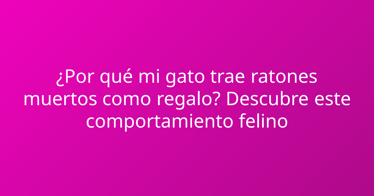 ¿Por qué mi gato trae ratones muertos como regalo? Descubre este comportamiento felino