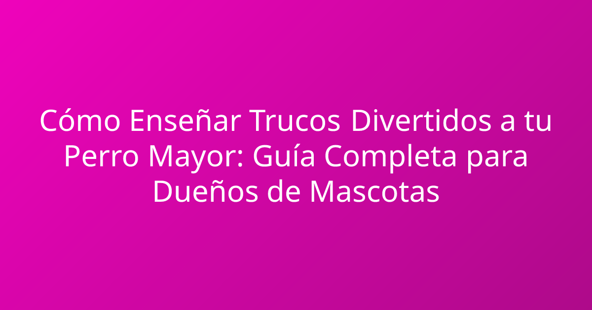 Cómo Enseñar Trucos Divertidos a tu Perro Mayor: Guía Completa para Dueños de Mascotas