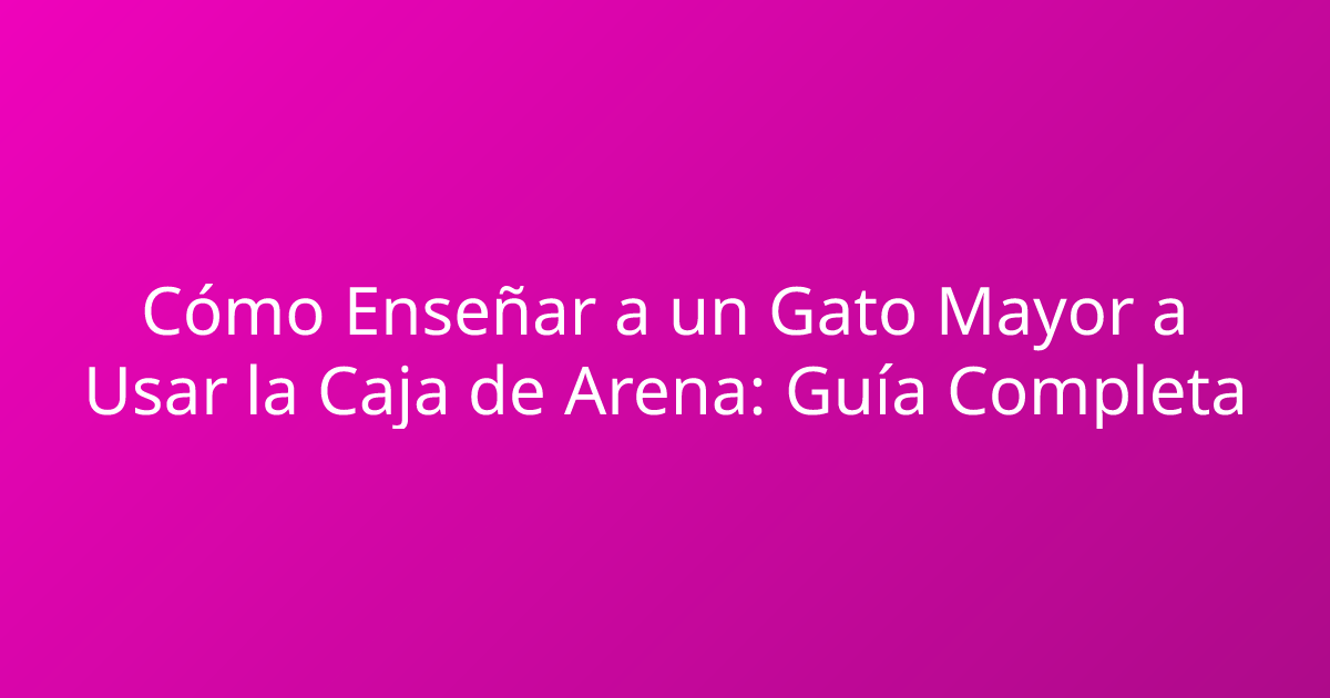 Cómo Enseñar a un Gato Mayor a Usar la Caja de Arena: Guía Completa