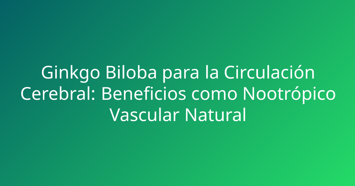 Ginkgo Biloba para la Circulación Cerebral: Beneficios como Nootrópico Vascular Natural