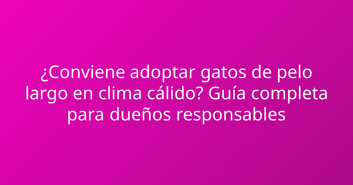 ¿Conviene adoptar gatos de pelo largo en clima cálido? Guía completa para dueños responsables