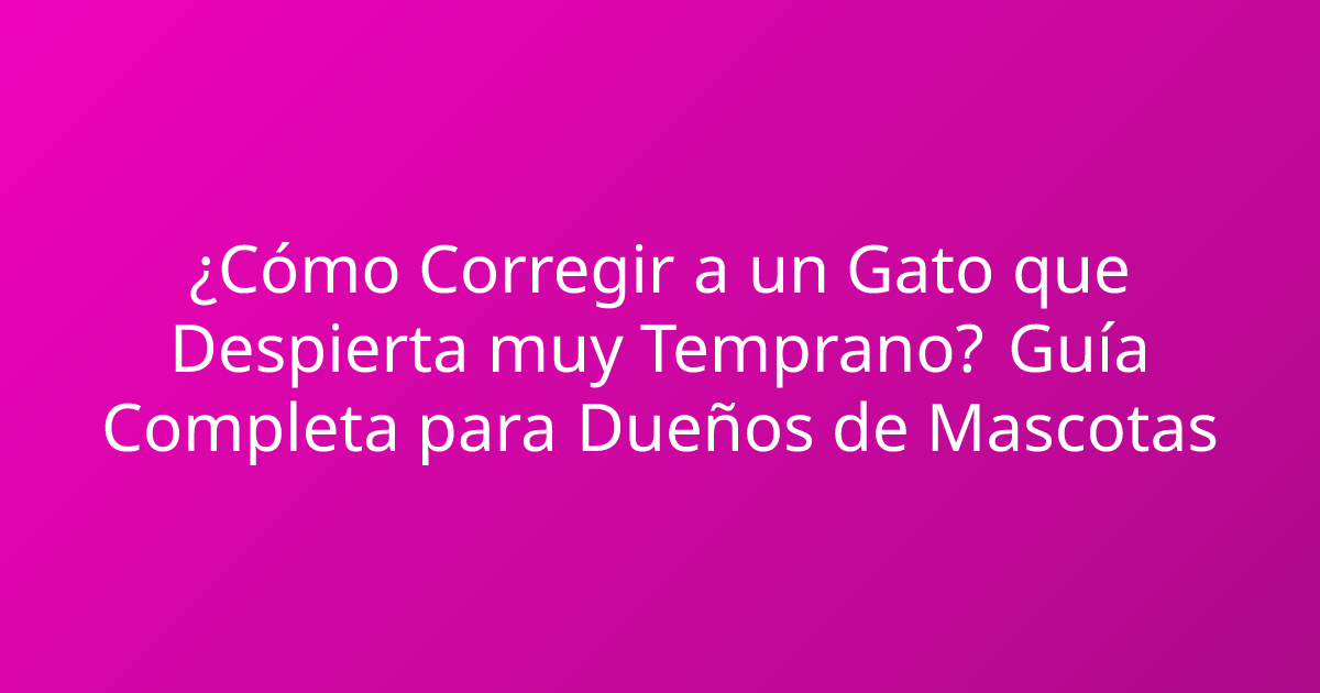 ¿Cómo Corregir a un Gato que Despierta muy Temprano? Guía Completa para Dueños de Mascotas